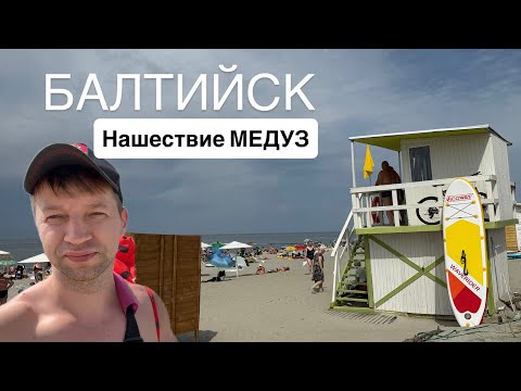 Видео: Балтийск август 2025. Влог