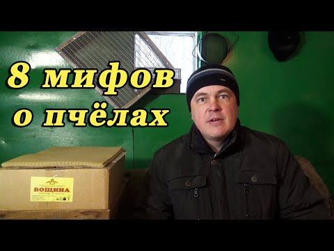 Видео: 8 ПОПУЛЯРНЫХ МИФОВ О ПЧЁЛАХ И ПЧЕЛОВОДСТВЕ. Интересные факты о пчёлах