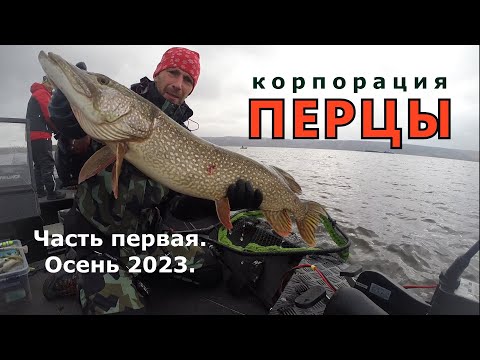 Видео: Корпорация Перцы. Часть первая. Осень 2023.