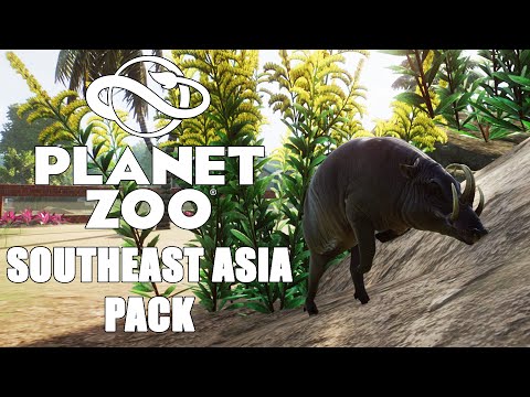 Видео: БАБИРУССА! #3 PLANET ZOO SOUTHEAST ASIA PACK ПРОХОЖДЕНИЕ