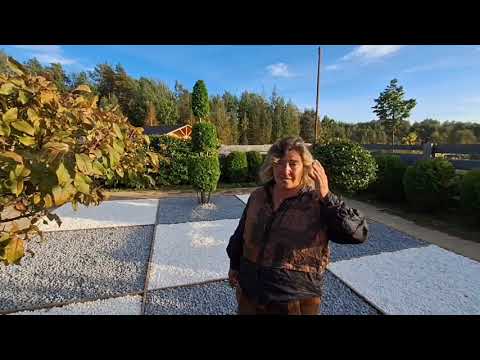 Видео: Русский ландшафтный импрессионизм... А почему бы и нет?