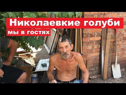 Видео: Заехали в гости к Жаркову Виктору Ивановичу посмотреть николаевских голубей.