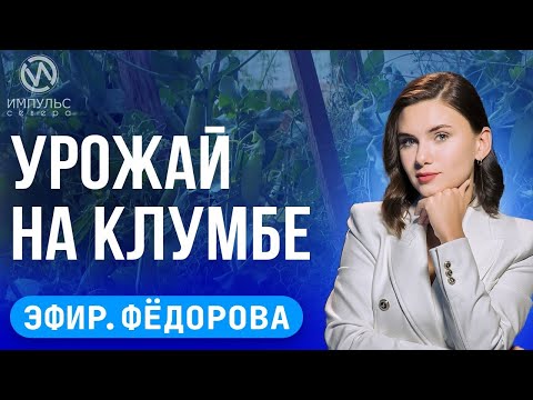 Видео: Эфир.  Привет из Пятигорска. Ямальский марафон. Вырастить на грядке