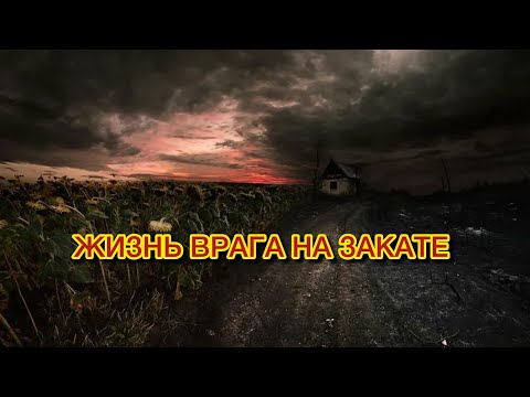 Видео: Жизнь врага на закате 😆💯СМОТРИ СРОЧНО‼️