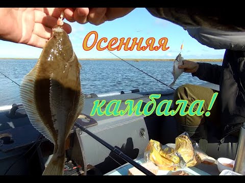 Видео: ОСЕННЯЯ КАМБАЛА/ЗАКРЫТИЕ ЛЕТНЕГО СЕЗОНА