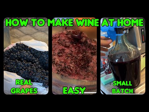 Видео: Как приготовить вино дома | Небольшая партия | Рецепт из настоящего винограда