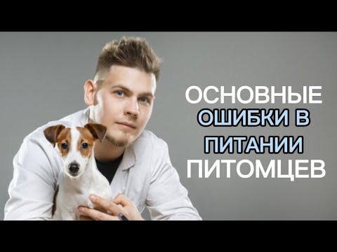 Видео: Основные ошибки в питании питомцев.