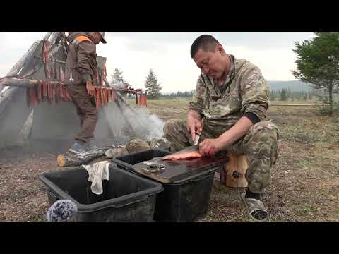 Видео: ЗАВЯЛКА И КОПЧЕНИЕ РЫБЫ В ПОЛЕВЫХ УСЛОВИЯХ. СМОТРЕТЬ ТОЛЬКО СЫТЫМ!!!!!