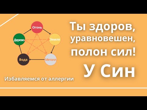 Видео: Пять элементов. Гармония и здоровье. У Син