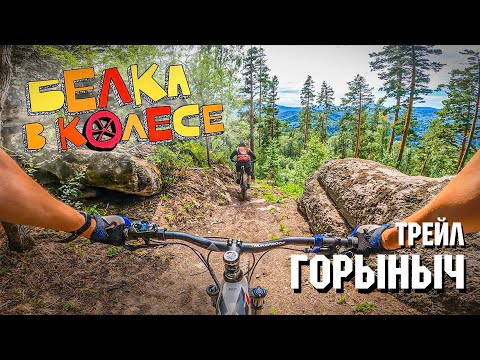 Видео: трейл Горыныч | Белка в колесе | Алтай