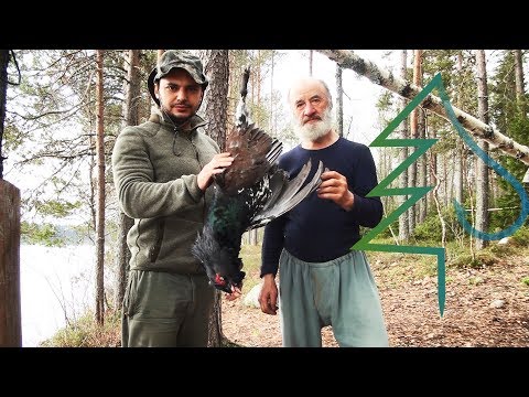 Видео: Застряли на медвежьей тропе. Как мы с Петровичем на глухариный ток в Карелию поехали.