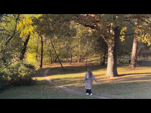 Видео: романтизирую осень