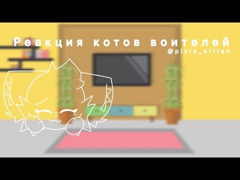 Видео: -Реакция котов воителей/React Warriors Cats:@Pixie_Bullseye