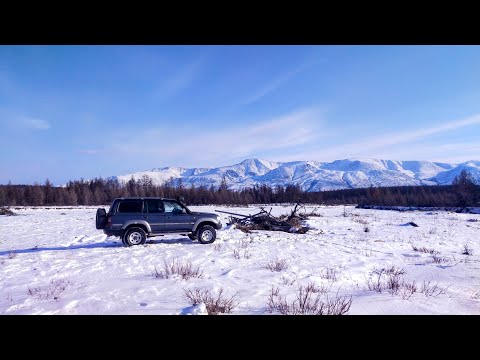 Видео: По зимнику (Багдарин - Иракинда)в марте 2025 года  с новым другом.