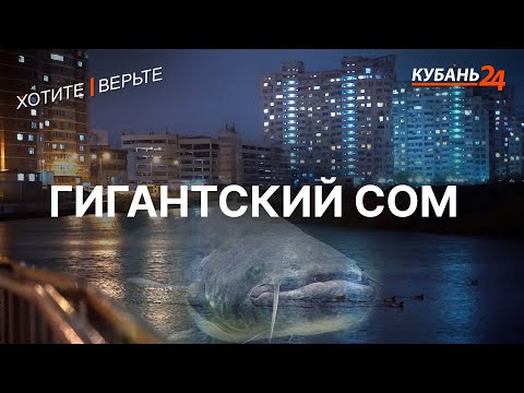 Видео: Гигантский сом | Хотите — верьте