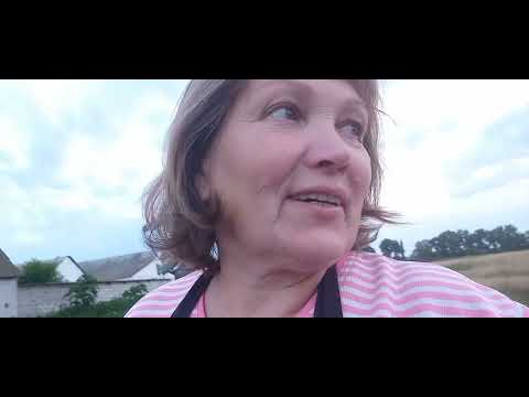 Видео: до якого часу можна зрізати лист на полуниці