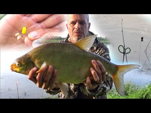 Видео: Рыбалка на Леща на Оке! Ночевка с Донками!