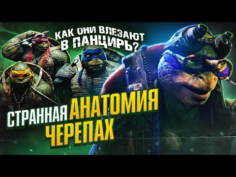 Видео: Странная анатомия Черепашек-ниндзя