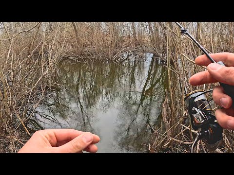 Видео: МОРМЫШИНГ в ручье 50 см. Разная рыба НА ТОНЧАЙШИЙ спиннинг. Рыбалка весной