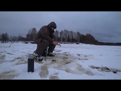 Видео: Ловлю ельца на р. Сысола