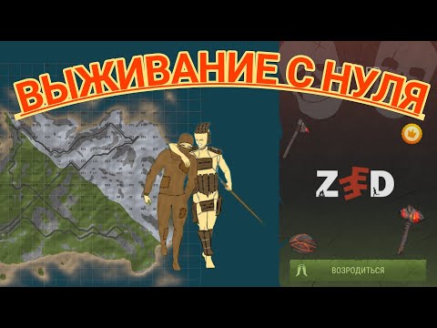 Видео: 😎Выживание с нуля в ZEED.😎
