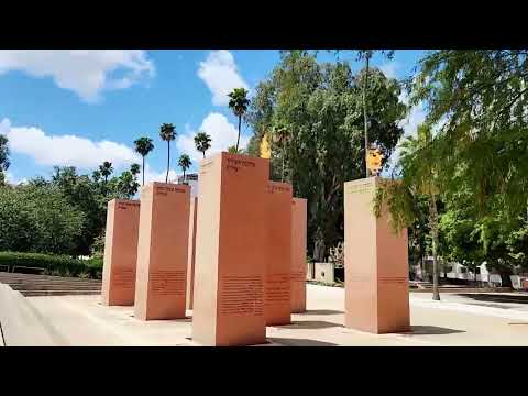 Видео: Квартира с энергией. Аренда. Израиль сегодня