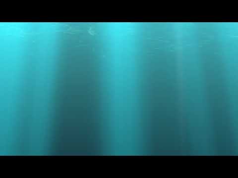 Видео: Медитация для работы с тревожностью, ключ к осознанности.