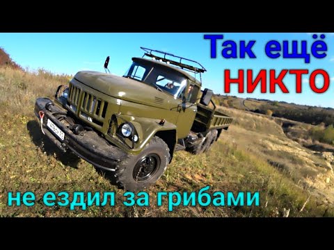 Видео: ЗИЛ 131 покоряет крутые подъёмы. Так за грибами никто не ездил!