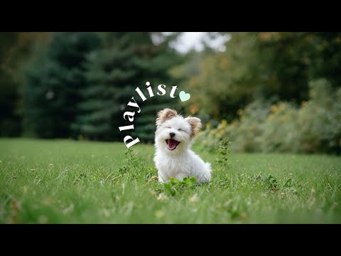 Видео: «Хорошее настроение с утра» | 3-часовой плейлист для учёбы и работы 💚 TPOVibe