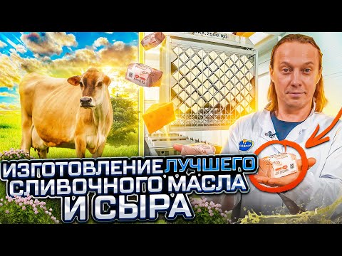 Видео: Как делают сливочное масло и вкусный сыр