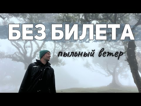 Видео: БЕЗ БИЛЕТА - Пыльный Ветер (Lyric Video)