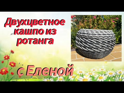 Видео: ✨Уложить лозы на дне✨Не хватило длины лоз✨Соединить два цвета в кашпо✨Узор✨РОТАНГ✨МАСТЕР КЛАСС