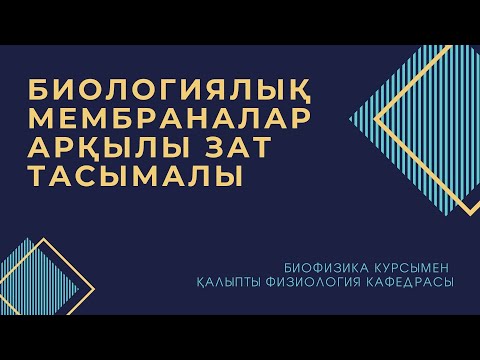 Видео: Дәріс 2