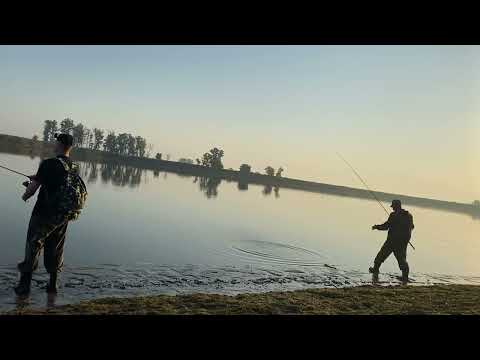 Видео: Сколько же тут рыбы?😱 Рыбалка на Кубани на Щуку🎣 Поклевка за поклевкой 😍