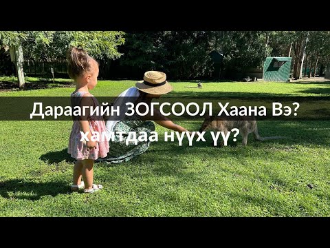 Видео: Хамт Нүүяааааа | Замд гарлаа | Хаана хонох вэ?