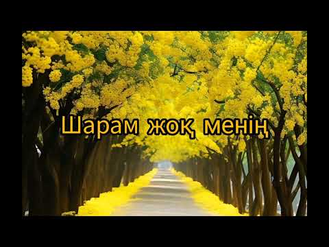 Видео: Мұрат Әбділдә - Айдай көркем