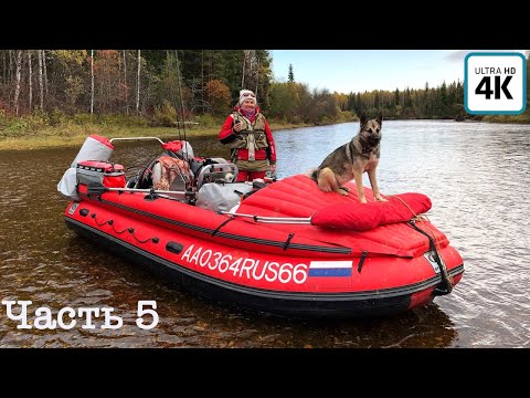 Видео: Экспедиция по горным рекам(ч.5) | Приполярный Урал |900км| Трудные 90 км мелкой реки | Ставим лагерь