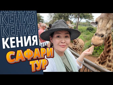 Видео: Путешествие в Кению: Невероятное Сафари и Дикая Природа Африки! Кения Сафари тур!