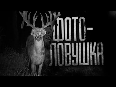 Видео: ФОТОЛОВУШКА... Страшные истории на ночь.Страшилки на ночь.