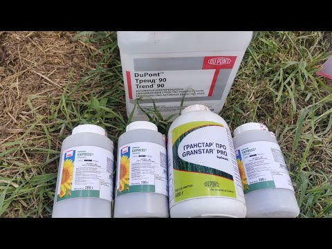 Видео: Химпрополка подсолнечника под экспресс.