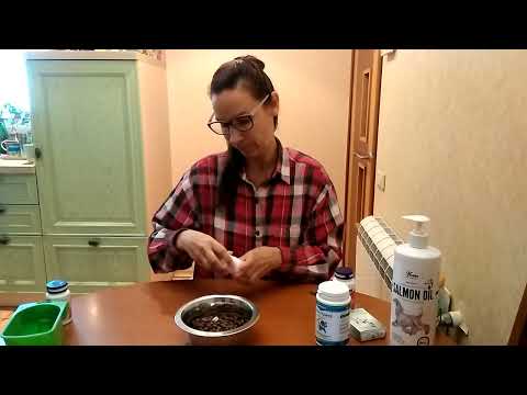 Видео: Кормление беременной собаки