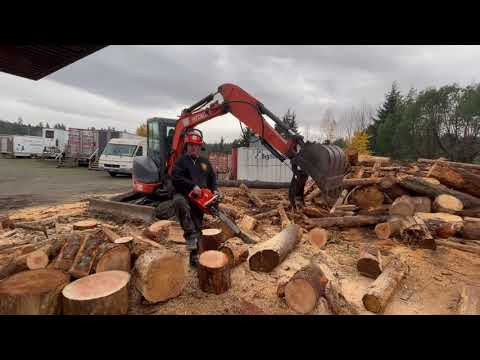 Видео: Echo 7310, модифицированный для Коула