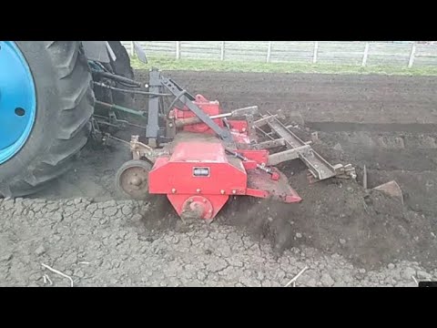 Видео: Почвофреза Swan Agro RT-200 на Трактор МТЗ (Индия)