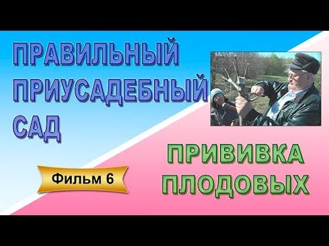 Видео: Правильный приусадебный сад Фильм 6 Прививка плодовых культур