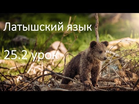 Видео: 25.2 Повторяшка