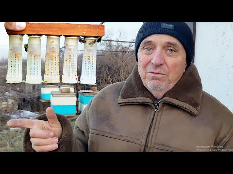Видео: В гостях у пасічника: Найвигідніша пропозиція від дяді Міші (маточники по 50)