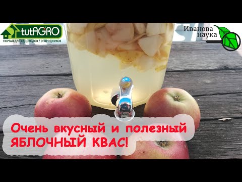 Видео: ОЧЕНЬ ВКУСНЫЙ ЯБЛОЧНЫЙ КВАС. 2 рецепта: с градусами и без. Готовим дома САМЫЙ ПОЛЕЗНЫЙ НАПИТОК ОСЕНИ