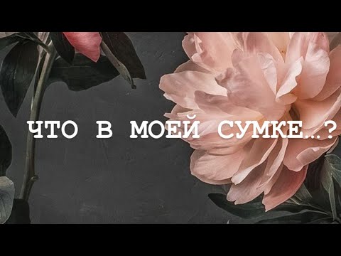 Видео: Что в моей сумке