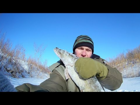 Видео: Февральский трофей!!! Щука на жерлицы. Малая река.