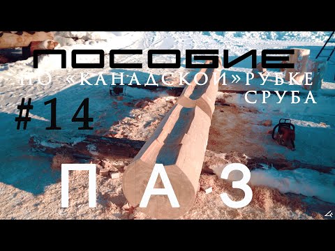Видео: Дом из сруба #14.Паз (рубка+пилка)